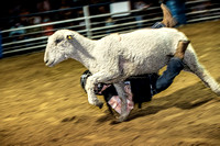10-204820-2020 North Texas Fair and rodeo denton muttin bustingseqn}