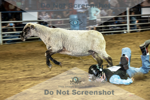 10-204868-2020 North Texas Fair and rodeo denton muttin bustingseqn}