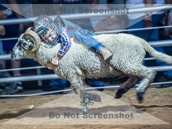 10-204972-2020 North Texas Fair and rodeo denton muttin bustingseqn}