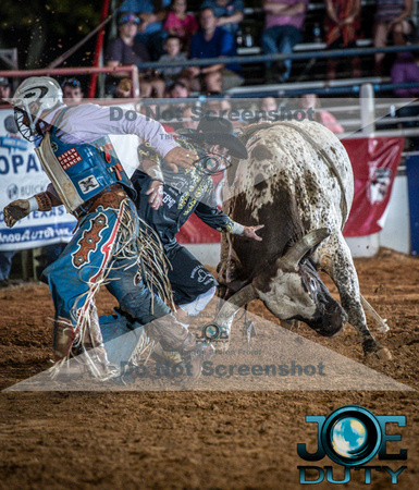 10-225316-2020 North Texas Fair and rodeo denton bulls first perfeqn}