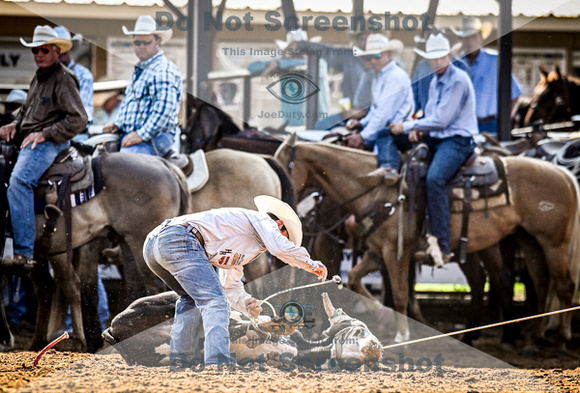 6-10-2021_PCSP rodeo_weatherford, Texass_Slack Steer Tripping_Pete Carr Rodeo_Joe Duty8305
