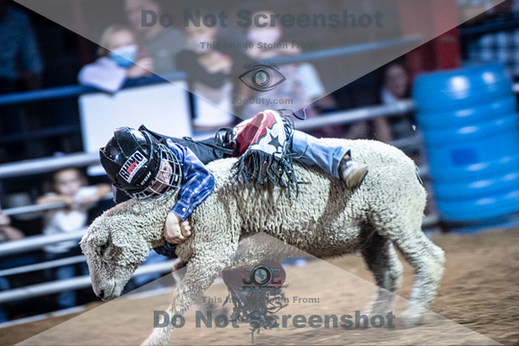 10-205031-2020 North Texas Fair and rodeo denton muttin bustingseqn}
