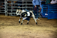 10-204823-2020 North Texas Fair and rodeo denton muttin bustingseqn}