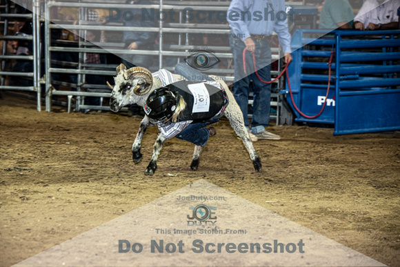10-204823-2020 North Texas Fair and rodeo denton muttin bustingseqn}
