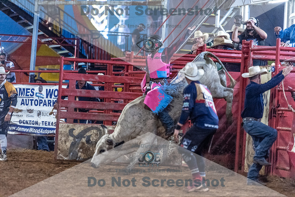 _JOE6748.NEF_8-26-2022_North Texas State Fair Rodeo_Bulls_Perf 2_Lisa Duty8338