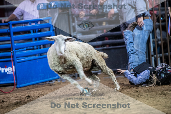 10-205010-2020 North Texas Fair and rodeo denton muttin bustingseqn}