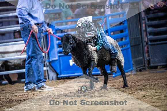 10-205015-2020 North Texas Fair and rodeo denton muttin bustingseqn}