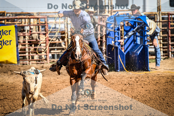 _JDZ9826-03-25-2022_Huntsville rodeo_Steer Tripping_JoeDuty-00981