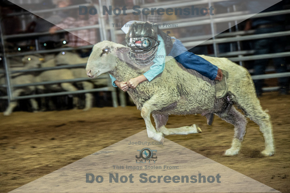10-204848-2020 North Texas Fair and rodeo denton muttin bustingseqn}